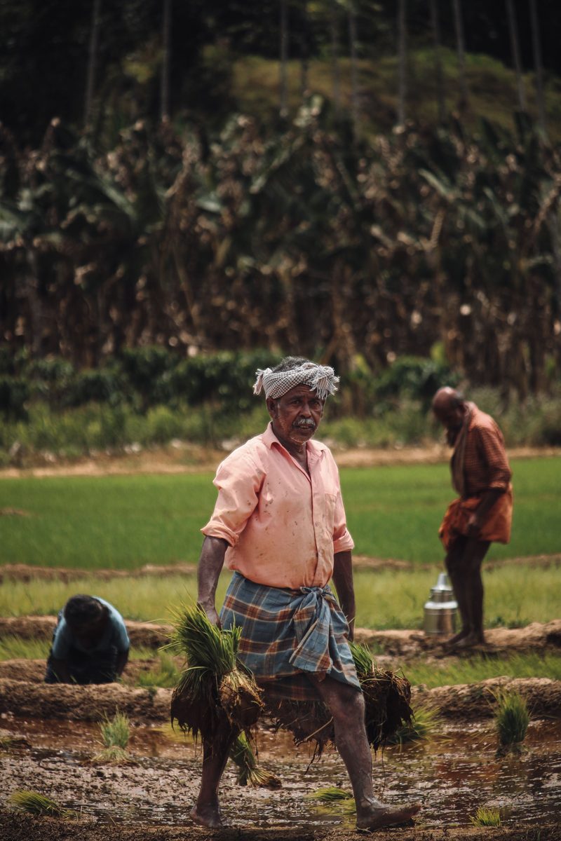 Traditional farming practices