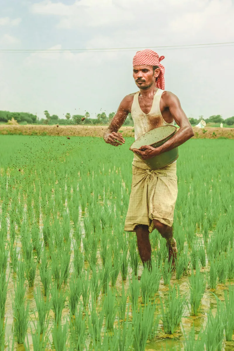 Haryana Landscape